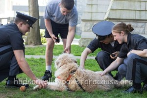 Cadet Destress Day May 5 2013