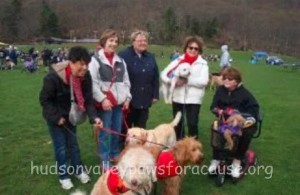 Bark for Life April 2014