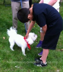 Anti-Bullying Walk