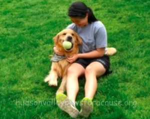 Therapy Dogs Help Students Destress Before Finals