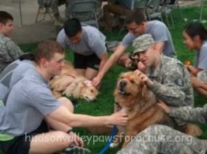 Therapy Dogs Help Students Destress Before Finals