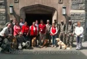 Therapy Dogs Help Students Destress Before Finals