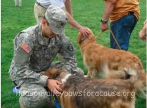 Therapy Dogs Help Students Destress Before Finals