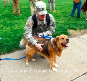 Therapy Dogs Help Students Destress Before Finals