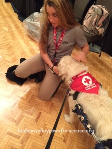 HV Paws Therapy Dogs Blood Drive 13a
