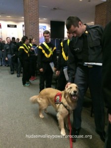 Our Therapy Dogs at the January 2016 Blood Drive