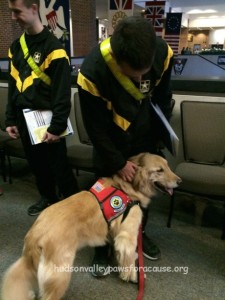 Our Therapy Dogs at the January 2016 Blood Drive