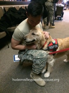 Our Therapy Dogs at the January 2016 Blood Drive