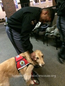 Our Therapy Dogs at the January 2016 Blood Drive