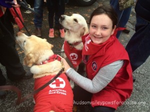 Therapy Dogs