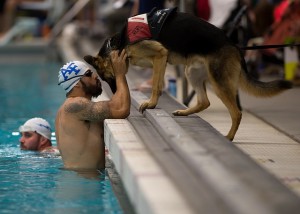 Service Dogs