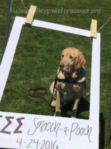 Awesome Weekend Marist College Fundraiser Jake Smooch a Pooch